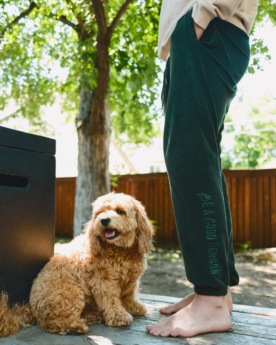 B & G x BAGP Sweatpants - Emerald